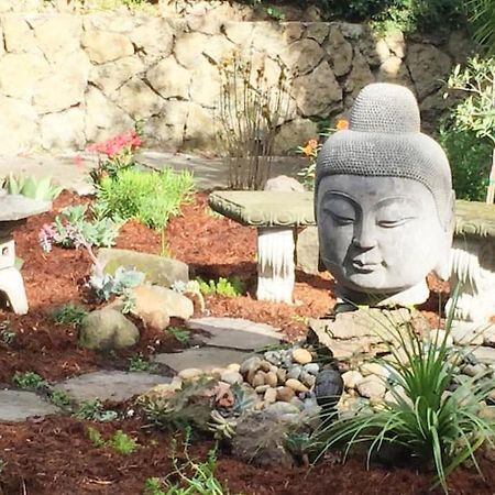 Serene Charming Private Suite Patio, Upscale Berkeley Exterior foto