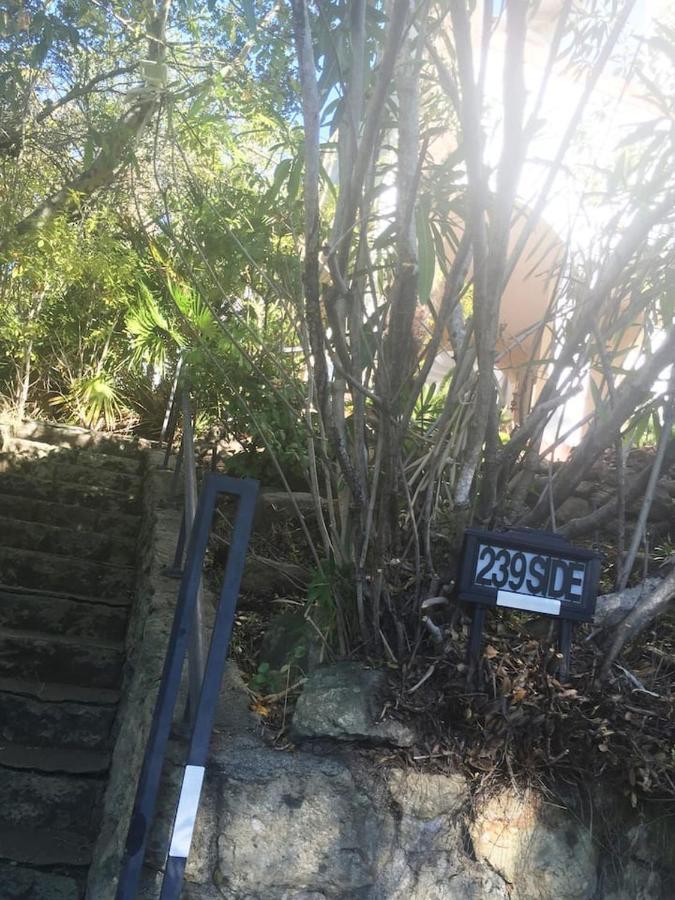 Serene Charming Private Suite Patio, Upscale Berkeley Exterior foto